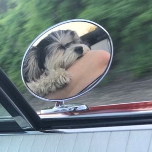 Meet your Posher, Jess